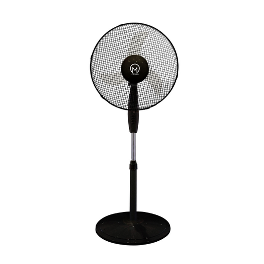 Standing Fan